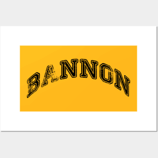 Bannon Posters and Art